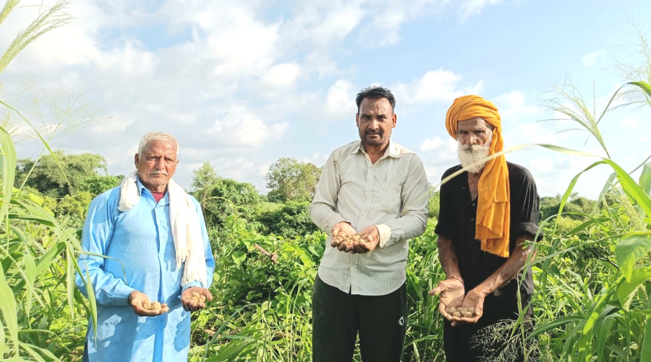Plantation with seed ball in many villages of Beet area including Kalewal Beet